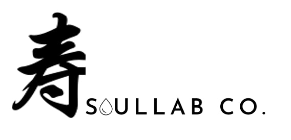 CONG TY TNHH SOUL LAB